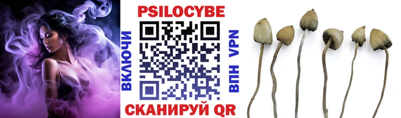 Купить закладки  Сортавала  Галлюциногенные грибы мухоморы 